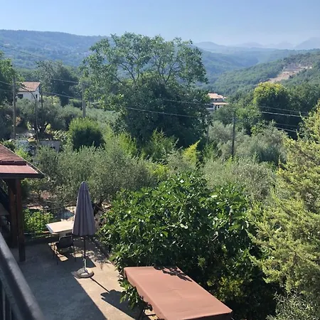 Lavino