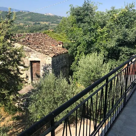 Lavino